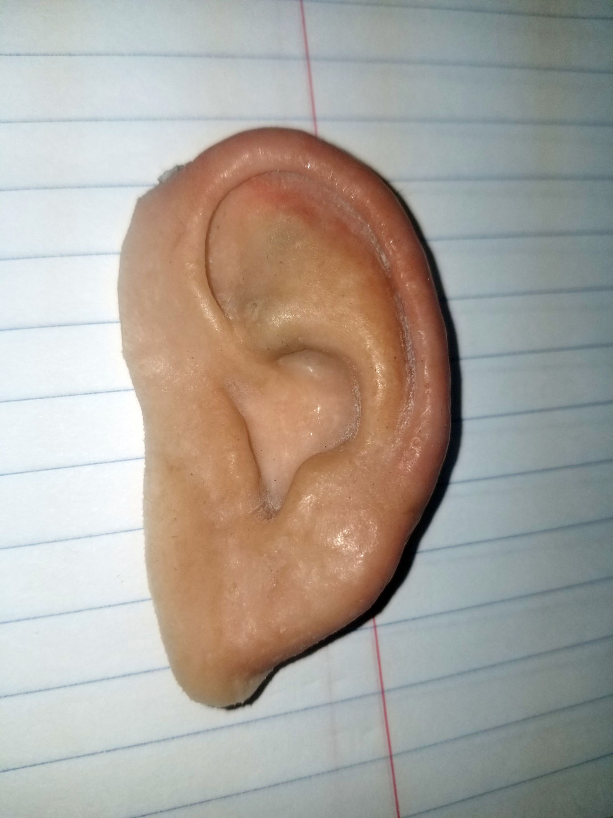 Prosthetic Ear Found